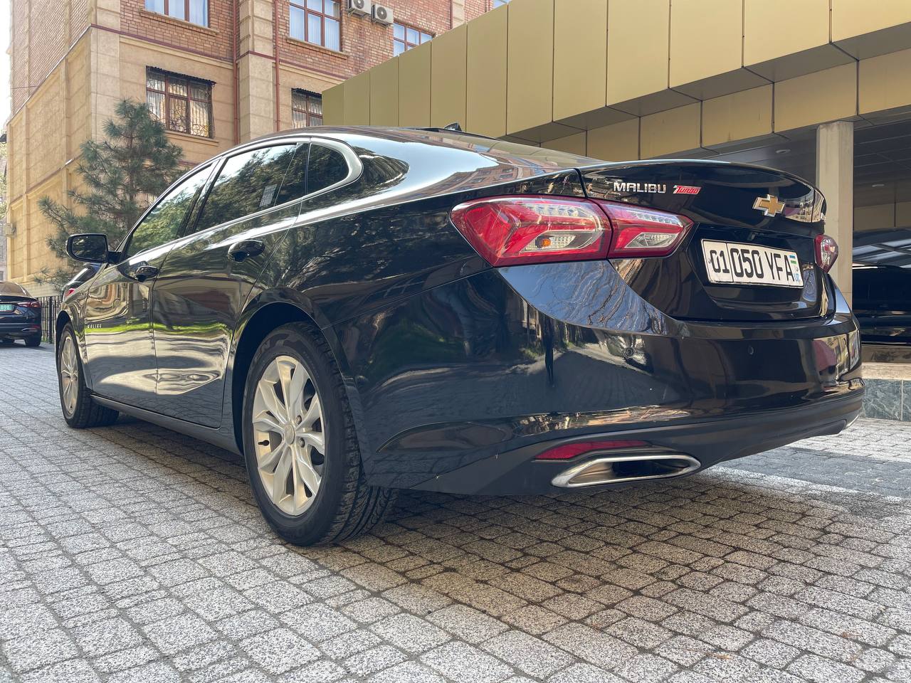 Chevrolet Malibu rental — rear view